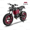 Scooter Électrique Adulte 60V 500W - Imperméable IP54 2 Roues