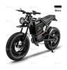 Scooter Électrique Adulte 60V 500W - Imperméable IP54 2 Roues