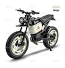 Scooter Électrique Adulte 60V 500W - Imperméable IP54 2 Roues